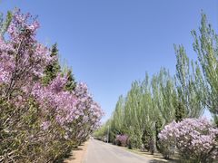 -乌素图国家森林公园