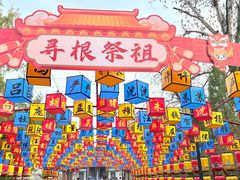 -大槐树寻根祭祖园