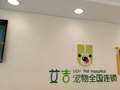 -艾吉宠物医院·疑难杂症转诊中心·猫友好(碧江路院)