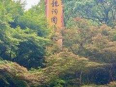 -杭州黄龙洞