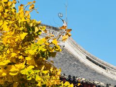 -龙华寺