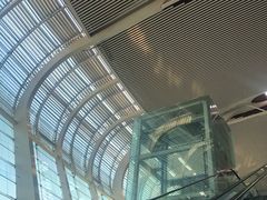 -合肥新桥国际机场-航站楼