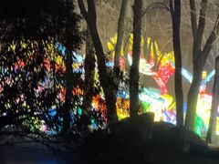 -洛阳市隋唐城遗址植物园