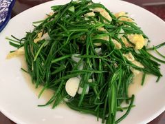 -范记靖远羊羔肉(博物馆店)