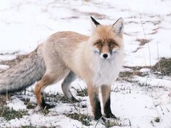 -华晨宝马铁西工厂