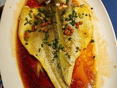 -维园悦谱·海派家常菜(乌鲁木齐南路店)
