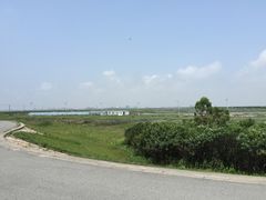 -南汇嘴观海公园