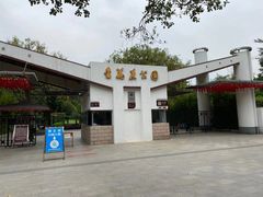 -金花茶公园