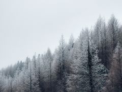 -山王坪喀斯特国家生态公园