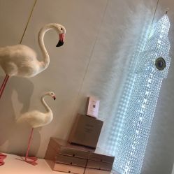 -INNEREAL英妮芮医疗美容