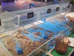 -加餐海鲜自助(集美银泰百货店)