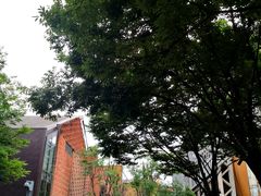 -上海当代艺术博物馆