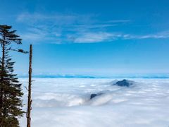-瓦屋山景区