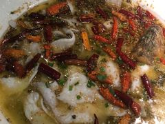 -九毛九西北菜(大东海店)