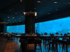 -海棠湾洲际-涛·海底餐厅·美人鱼·自助餐·海底隧道