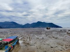 -北岐滩涂