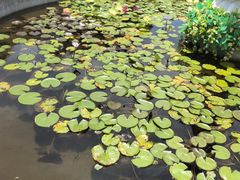 -青芝山风景名胜区