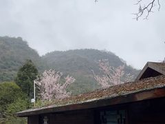 -高荡千年布依古寨旅游景区