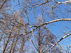 -国家植物园南园