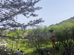 -苏州上方山国家森林公园