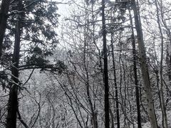 -句容茅山景区