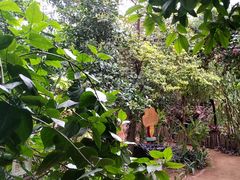 -北京呀路古热带植物园