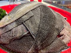 -二荆条·蜀鲜汇城市森林火锅