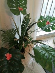 -纹绣阁·纹眉眼唇品牌