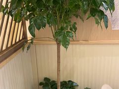 -荷花亭·湖北融合菜(中商广场店)