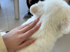 -怪兽屋·羊驼·猫咖·狗咖(俊华广场店)