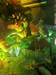 -恐龙探索乐园(磁器口店)