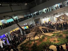 -自贡恐龙博物馆