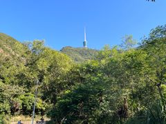 -梧桐山风景名胜区