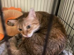 -H立方实景剧情密室(天河旗舰店)