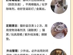 -翊宠yipet猫狗购宠庄园犬舍•猫舍