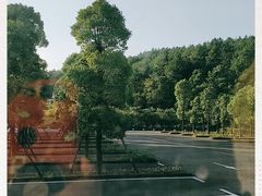-武陵山森林公园