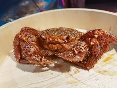 红毛蟹-蟹田居·活蟹料理(东城店)