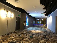 -星河寰宇IMAX影城(星河WORLD·COCO Park店)