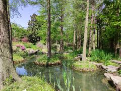 -上海滨江森林公园