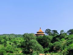 -磬锤峰森林公园