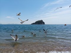 -棒棰岛宾馆景区
