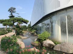 -罗红摄影艺术馆