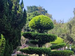 -芝麻糊世家(西华店)