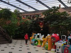 -老山东·山东菜(鲁菜名店)