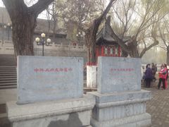-文瀛公园