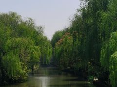 -同里国家湿地公园