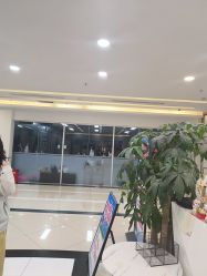 -单色舞蹈