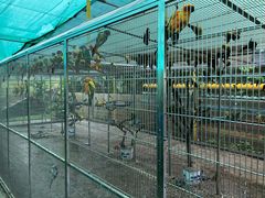 -观澜山水田园