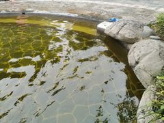 -雅安楠水阁温泉酒店