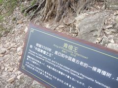 -皇藏峪国家森林公园